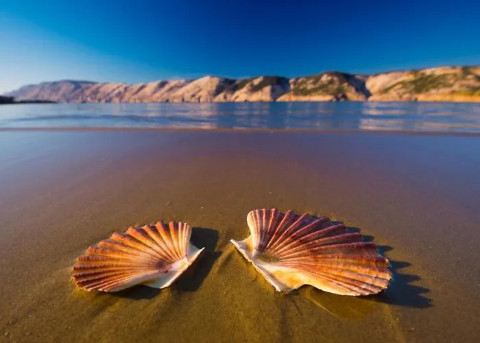 In With Sea View, Loggia, Air Conditioning, W-lan Lopar