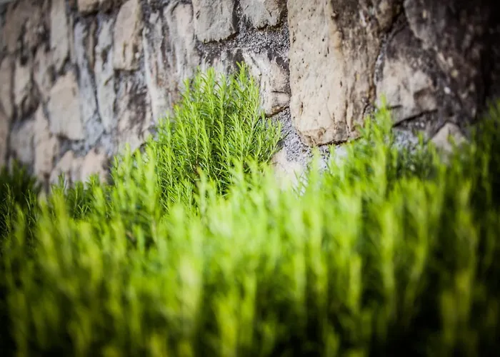 In With Sea View, Loggia, Air Conditioning, W-lan Appartement