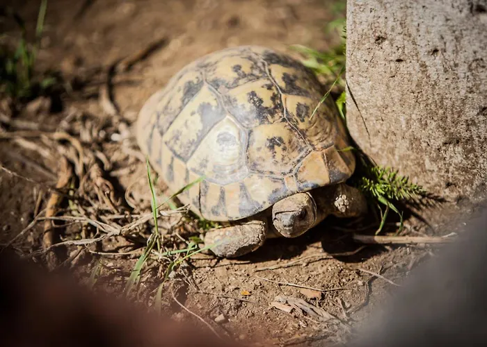 In With Sea View, Loggia, Air Conditioning, W-lan Appartement